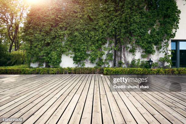 natural green wall made of leaves - housing estate stock-fotos und bilder