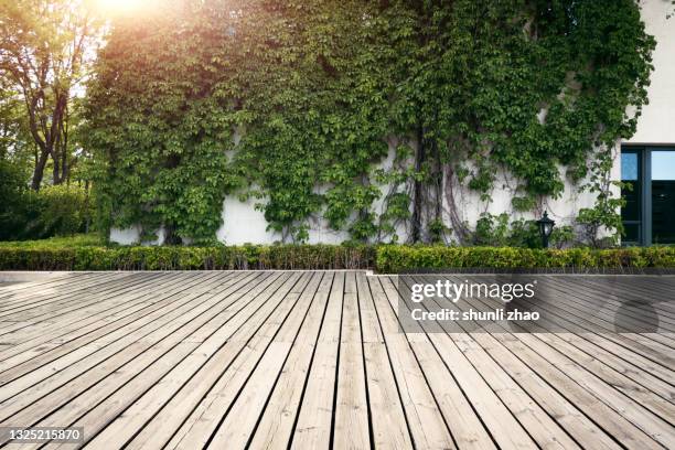 natural green wall made of leaves - boardwalk stockfoto's en -beelden