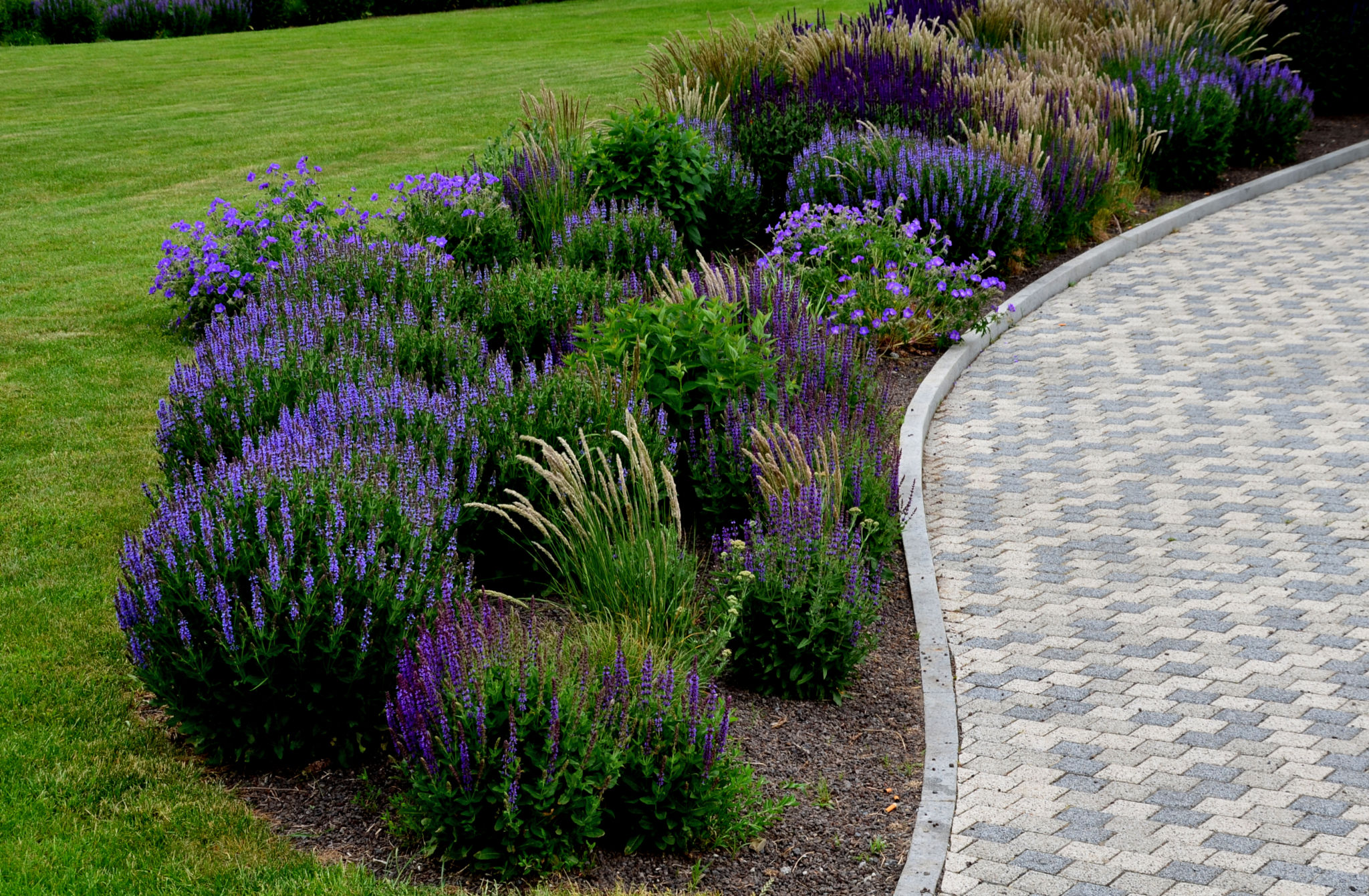 curb appeal garden