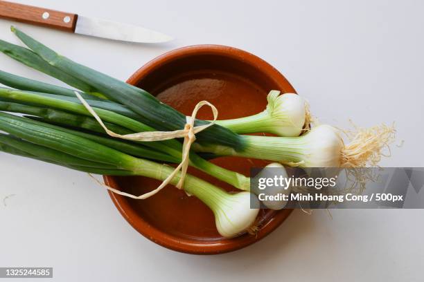 high angle view of green onion in bowl on white background,paris,france - cebolla de primavera fotografías e imágenes de stock
