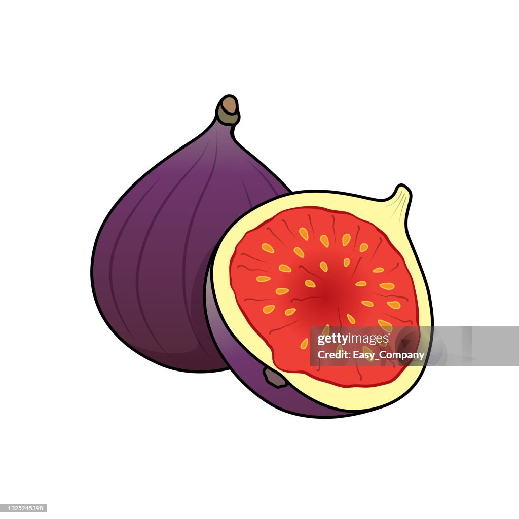 Dessins animés figue fruit pour les enfants Il s’agit d’une illustration vectorielle pour la formation préscolaire et à domicile pour les parents et les enseignants.