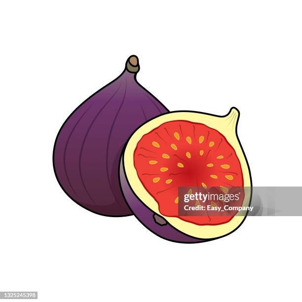 424点のイチジクイラスト素材 Getty Images 424点のイチジクイラスト素材 Getty Images