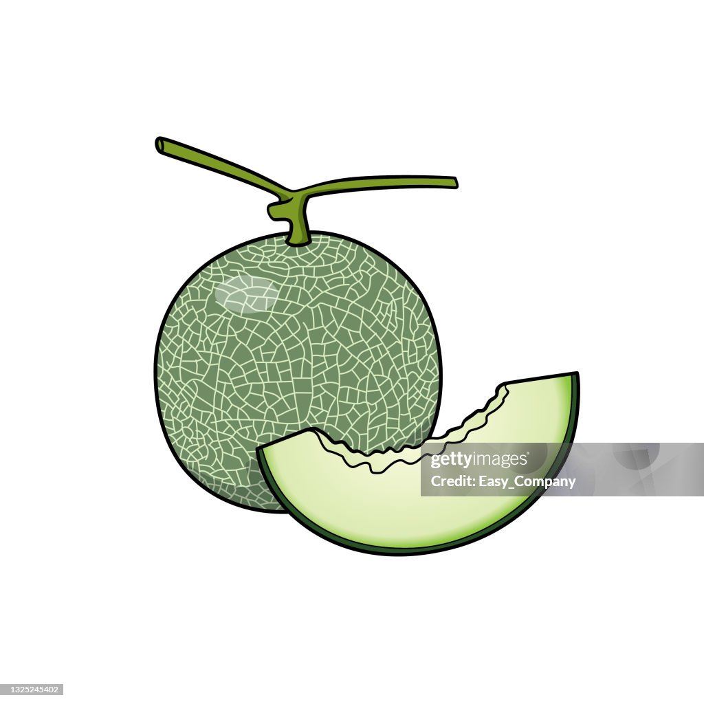 Cartoon Melon For Kids This Is A Vector Illustration For Preschool And Home  Training For Parents And Teachers High-Res Vector Graphic - Getty Images