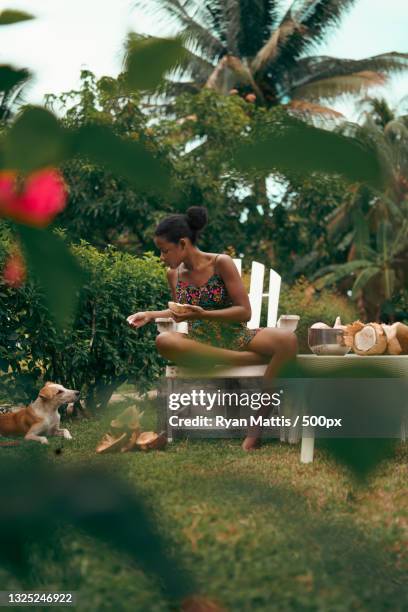 jamaican girl eating dried coconuts with her dog in a garden,portland parish,jamaica - jamaican girl stock pictures, royalty-free photos & images