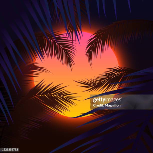 stockillustraties, clipart, cartoons en iconen met sunset with palm trees, sun and palm leaf - sunset beach hawaï