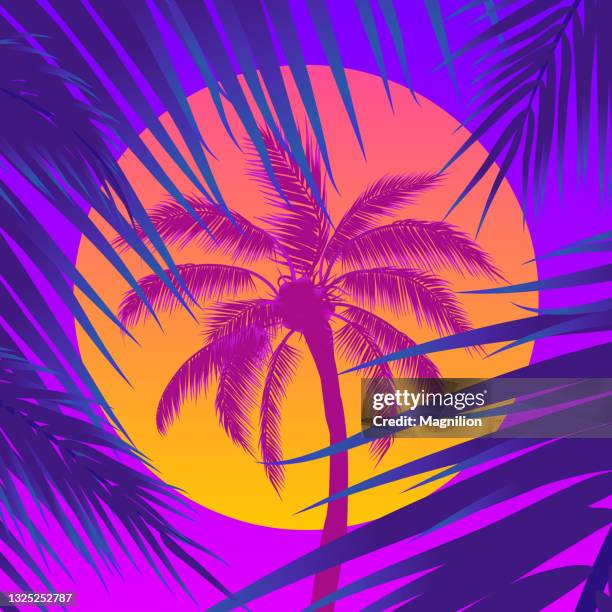 sunset with palm trees, sun and palm leaf - sunset beach 幅插畫檔、美工圖案、卡通及圖標