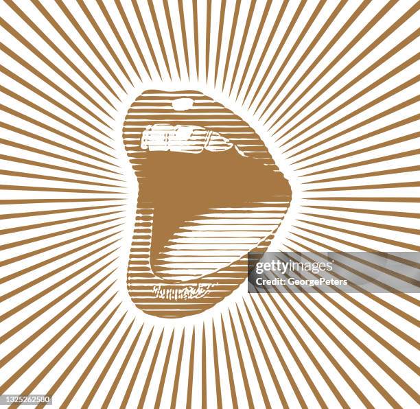 woman's mouth laughing and smiling - brown makeup stock illustrations