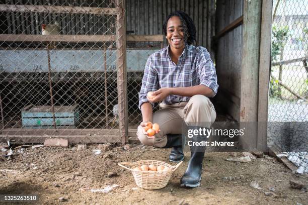 woman working on a poultry farm collecting eggs - african american farmer stockfoto's en -beelden