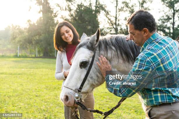 mann und frau streicheln ein pferd auf der ranch - enable horse stock-fotos und bilder
