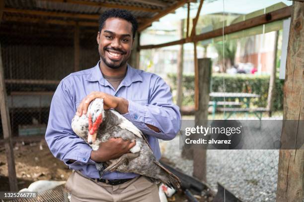 young man with a muscovy duck in poultry farm - breeder stock pictures, royalty-free photos & images