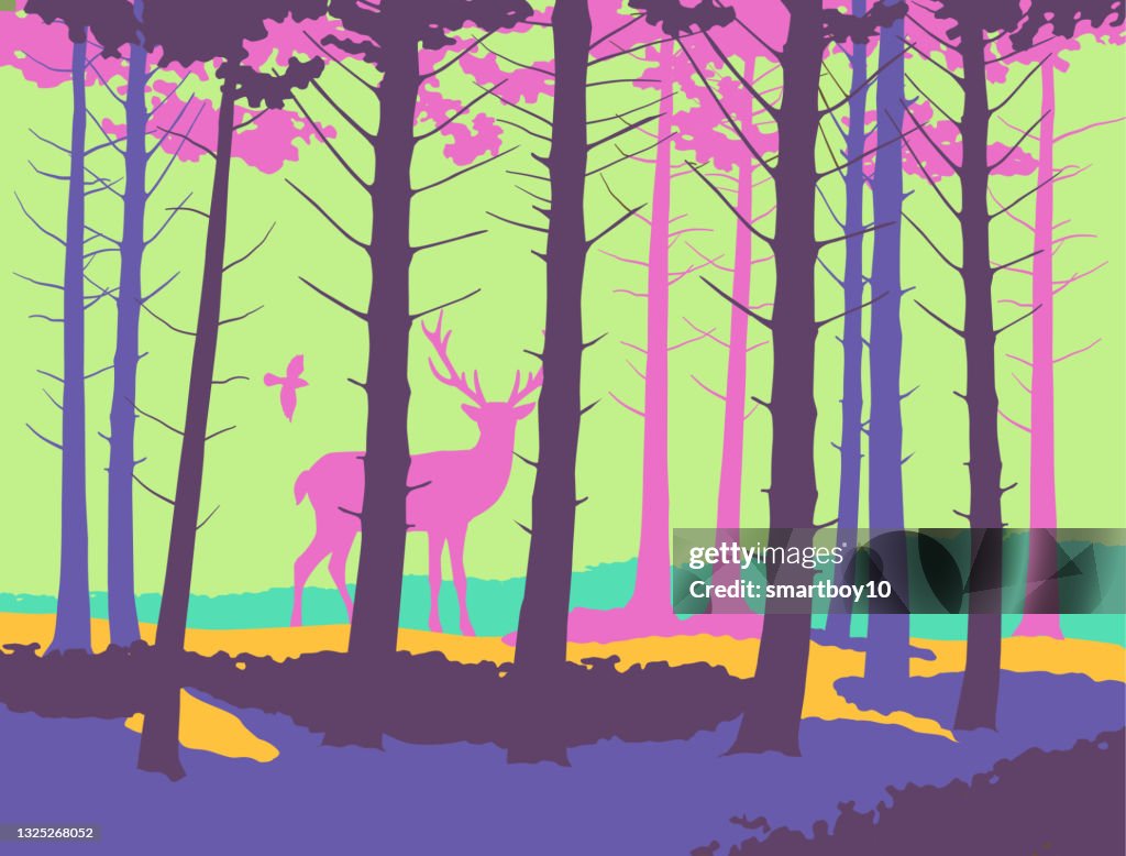 Woodland Scene with Deer