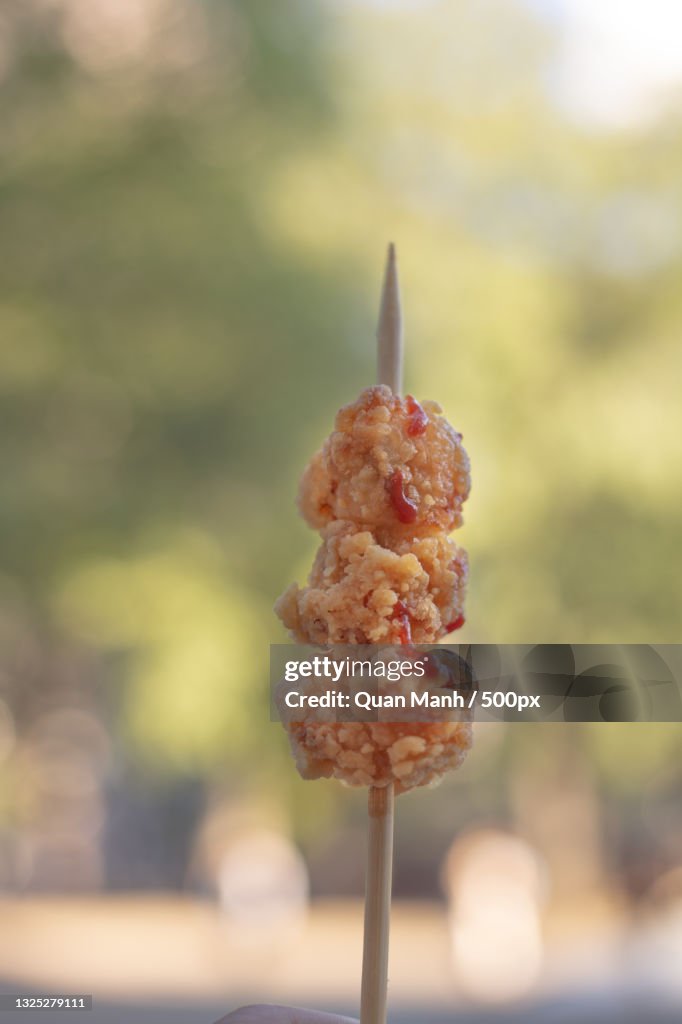 Close-up of food on skewer,Chitose,Japan