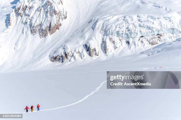 backcountry skiers climb snowy canadian rockies - extreem skiën stockfoto's en -beelden
