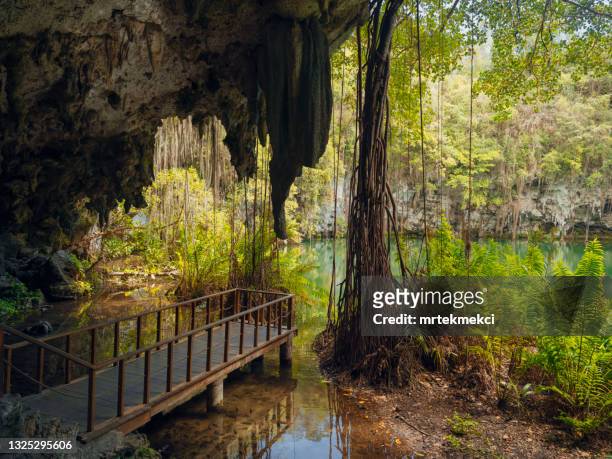 the three eyes national park (los tres ojos) in santo domingo, dominican republic - stalactiet stockfoto's en -beelden