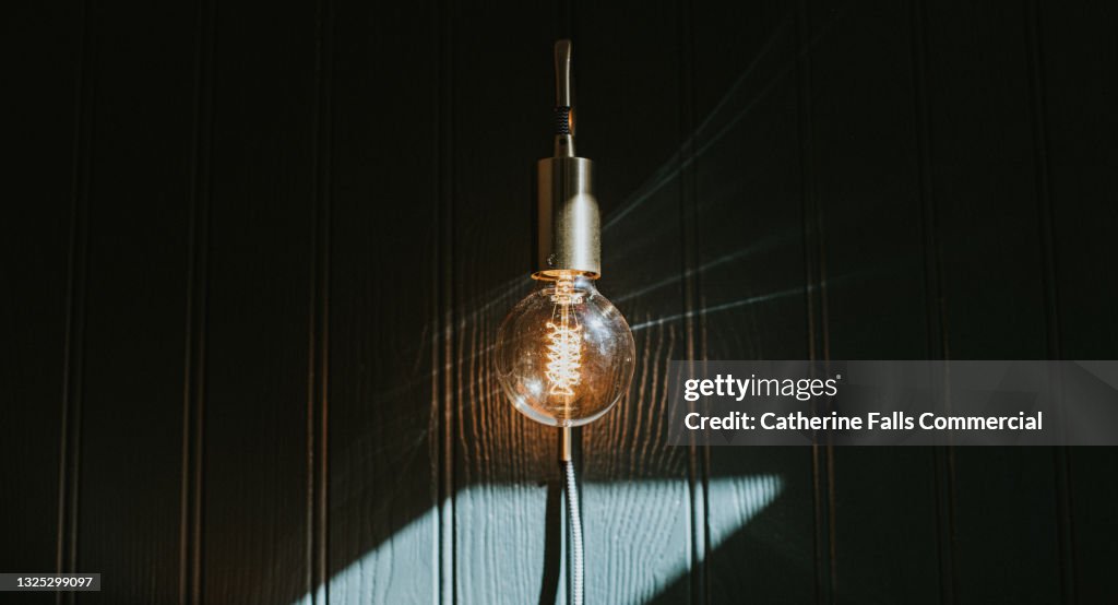 Large Exposed Wall mounted Lightbulb