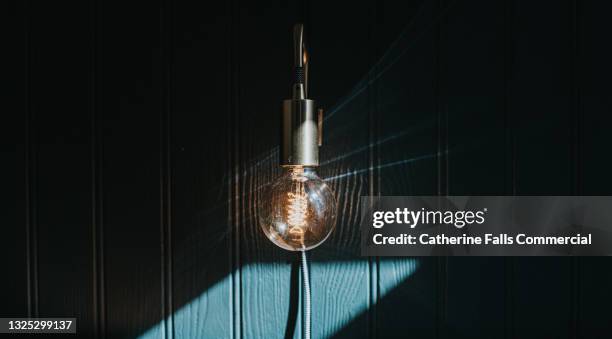 large exposed wall mounted lightbulb - halogeenlamp stockfoto's en -beelden