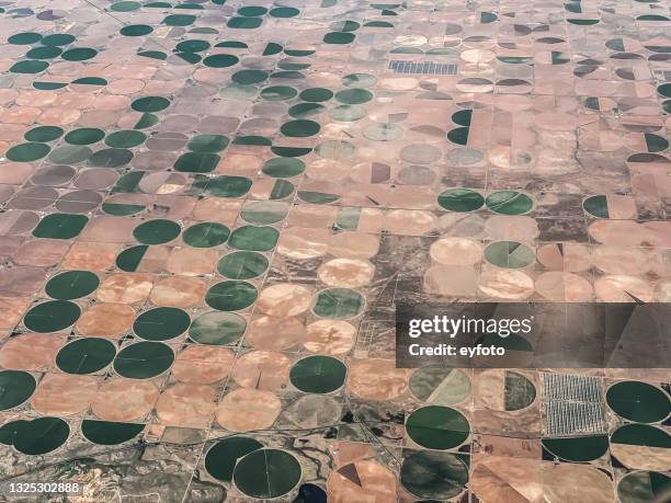 desert farming - center pivot irrigation stock pictures, royalty-free photos & images