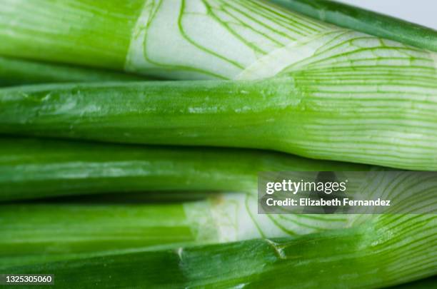 full frame of spring onion leaves - bosui stockfoto's en -beelden