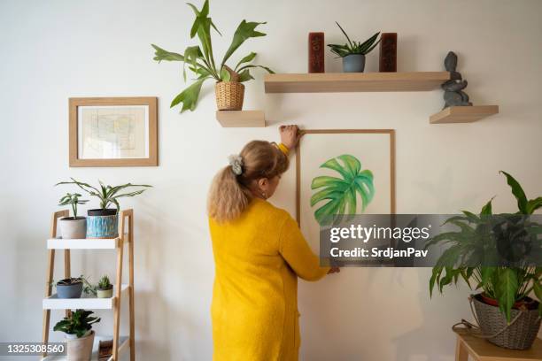 senior caucasian woman decorating her home with a new painting - draped stockfoto's en -beelden