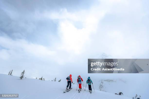 gli sciatori del backcountry attraversano la pista da neve al mattino - telemark foto e immagini stock