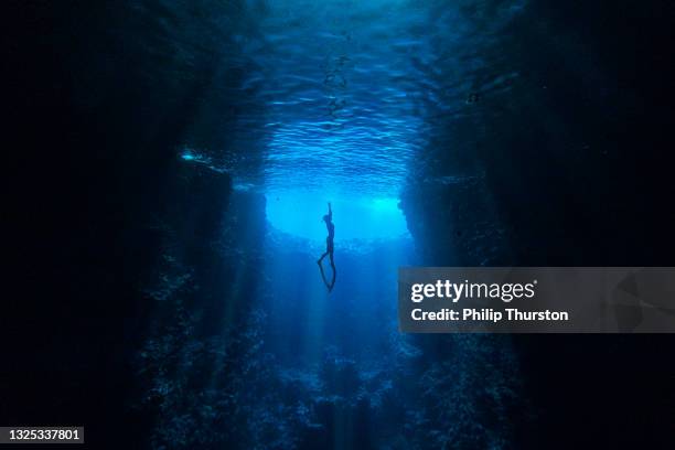 diver swimming in underwater cave towards the light at ocean's surface - seabed stock pictures, royalty-free photos & images