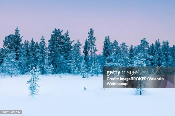 Hetta Hetta Photos and Premium High Res Pictures - Getty Images