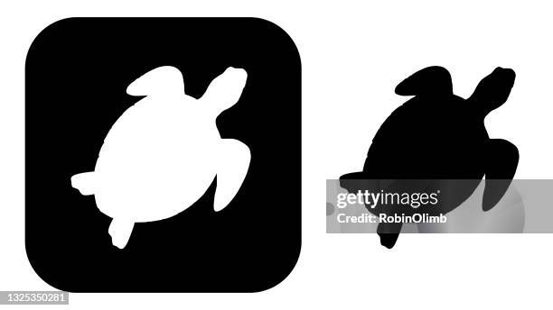 3点のウミガメイラスト素材 Getty Images 3点のウミガメイラスト素材 Getty Images