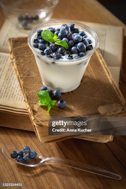 natural yogurt with blueberries in plastic bowl - greek yogurt stock pictures, royalty-free photos & images