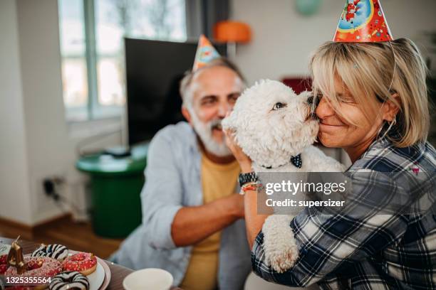 senior couple celebrate dog birthday - dog birthday stock pictures, royalty-free photos & images