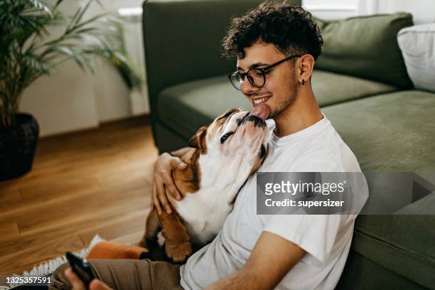 young man playing with his dog - dog and owner stockfoto's en -beelden