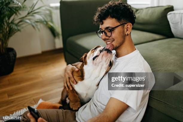 young man playing with his dog - english bulldog stock pictures, royalty-free photos & images