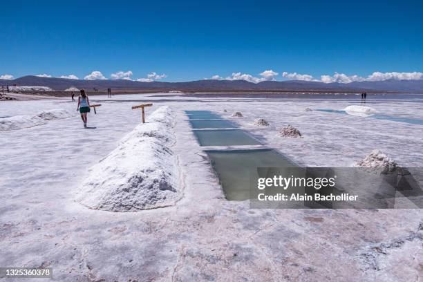 salar extract - salta argentina stock pictures, royalty-free photos & images