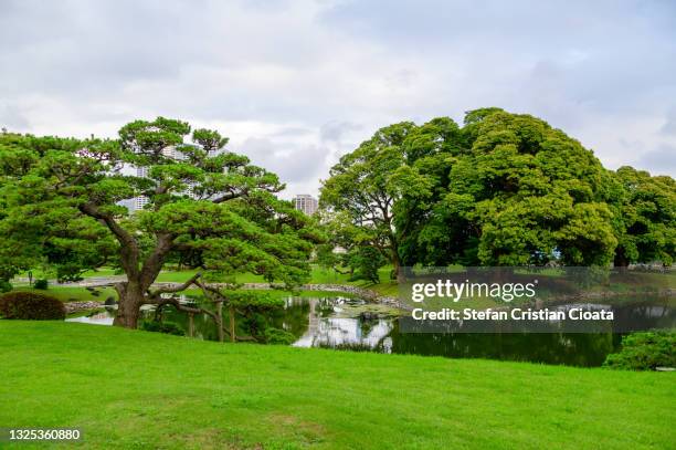 hama rikyu gardens in tokyo, japan - jardín japonés fotografías e imágenes de stock