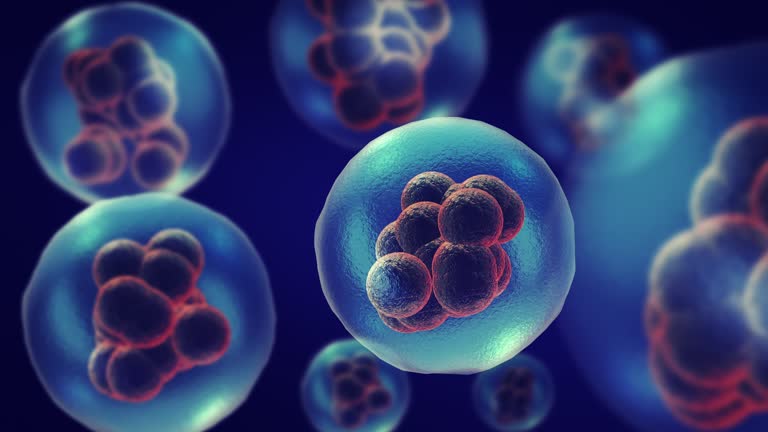 Cell Multiplying Process Gif Dividing or multiplying cells or Mitosis 동영상 (1325367009) - 게티이미지뱅크