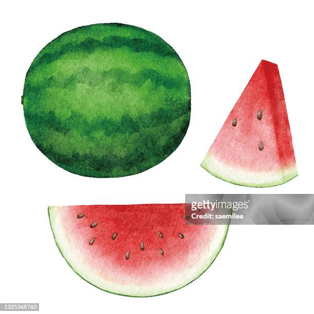 ilustraciones, imágenes clip art, dibujos animados e iconos de stock de sandías de acuarela - watermelon