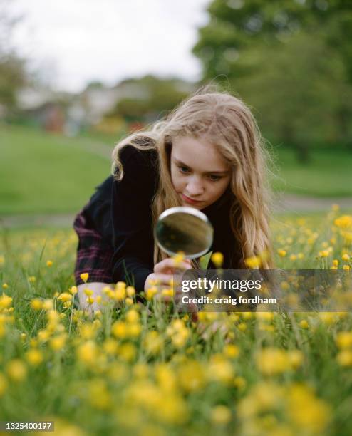 young nature lovers - smörblomma bildbanksfoton och bilder