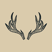 deer antlers classic vintage illustration design element