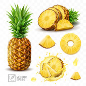 3d realistic isolated vector set of pineapple with juice splash, whole pineapple with leaves and splash with drops, falling pineapple slices in pineapple juice and pieces with a half