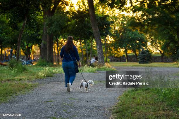 Do Walk Dog Walk Mountain Photos and Premium High Res Pictures - Getty Images