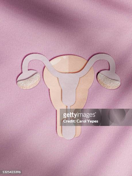 uterus un paper work.pink background - ovary stock-fotos und bilder