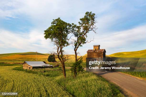 old grain elevator in rural landscape - palouse stock pictures, royalty-free photos & images