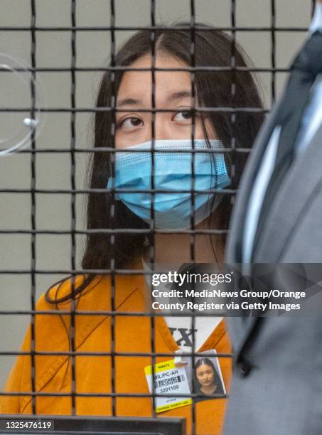 As Wynne Lee, left, in custody, looks on, her attorney Alternate Defender Tom Nocella speaks to Orange County Superior Court Judge Larry Yellin...