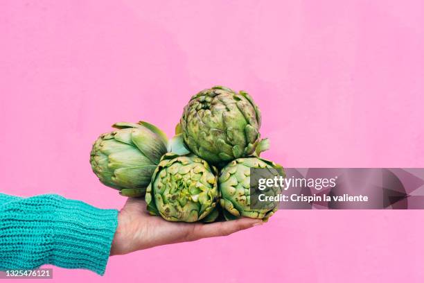 woman's hand holding four fresh artichokes on pink background - artichoke stock pictures, royalty-free photos & images