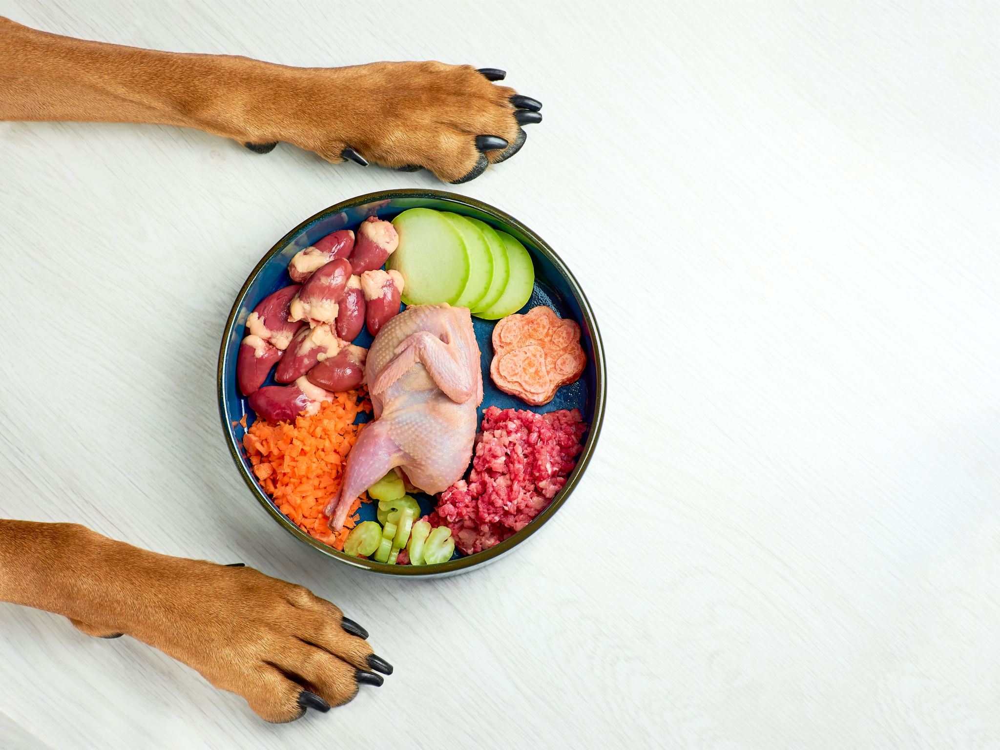 raw pet diet