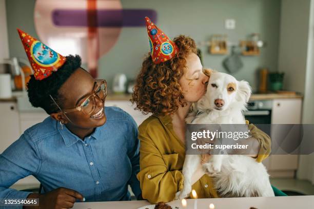 two friends celebrate dog's birthday - girlfriend birthday stock pictures, royalty-free photos & images