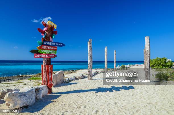 sunny beach with signposts in mexico - cozumel stock pictures, royalty-free photos & images