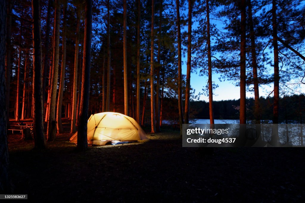 Tent in Nighttime Forest
