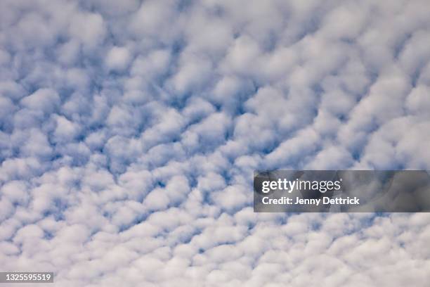 clouds - stratus stock pictures, royalty-free photos & images