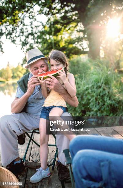 granddaughter and her grandparents  having quality time in nature - watermelon picnic stock pictures, royalty-free photos & images