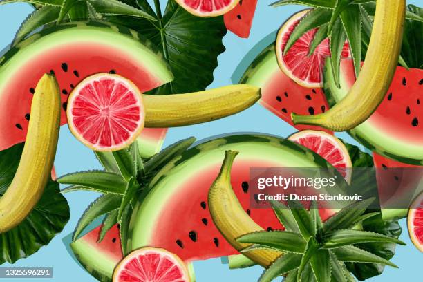 combination of fruit and aloe - cut melon stock illustrations